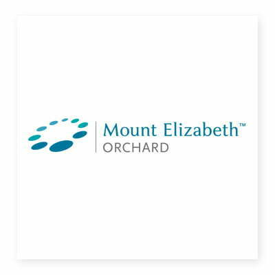 mount elizabeth logo