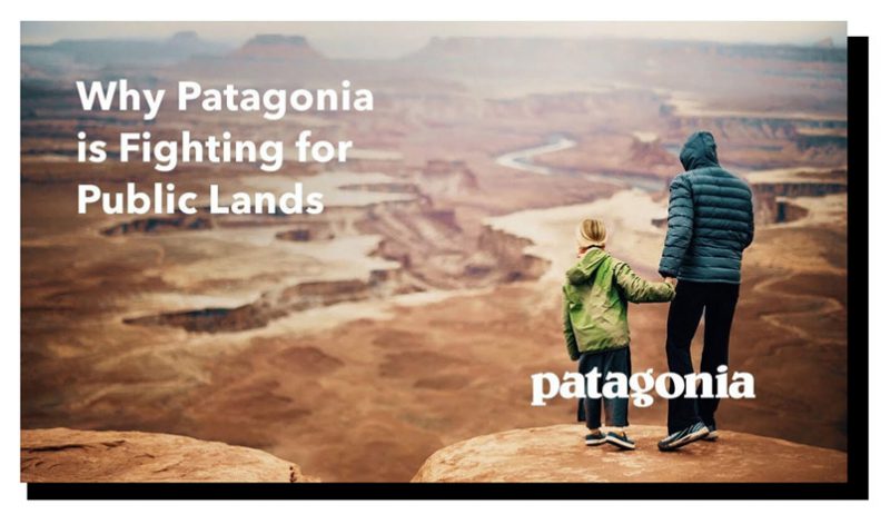 patagonia chien dich public lands