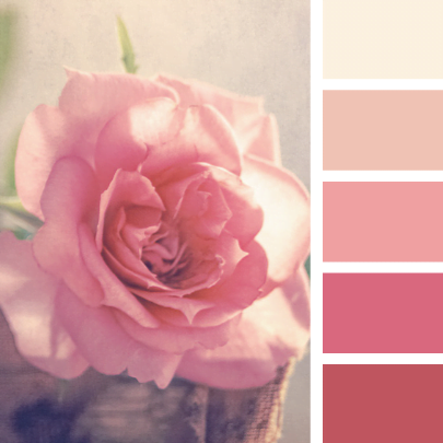 warm color palettes example romance