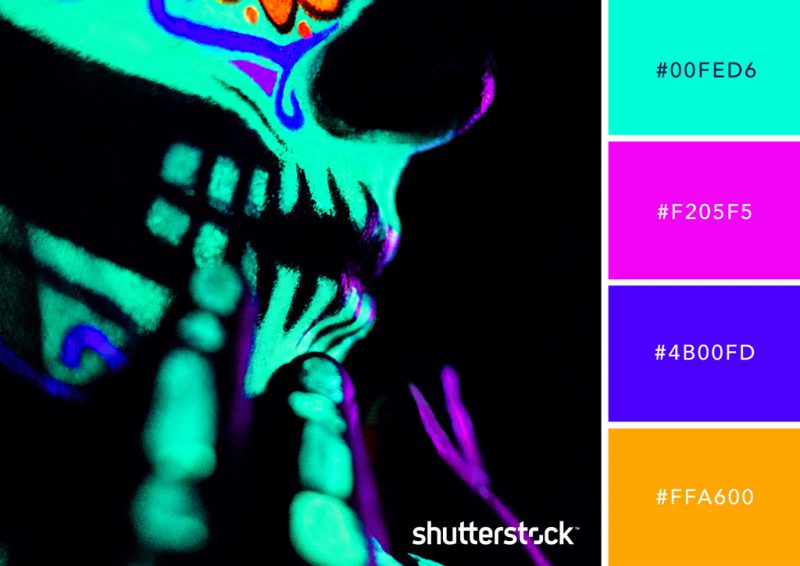 Color Palette neon18