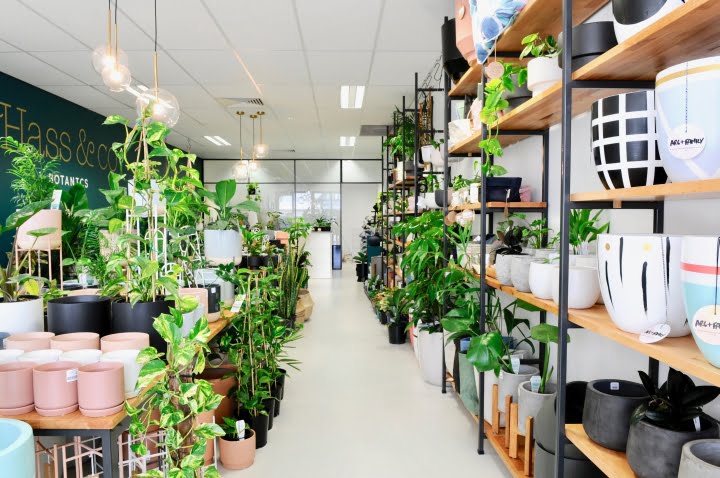 Hass Co Botanics store by Casey O Callahan Cal Hassall Leederville Australia 15