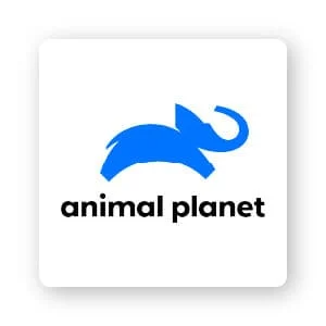 animal planet logo