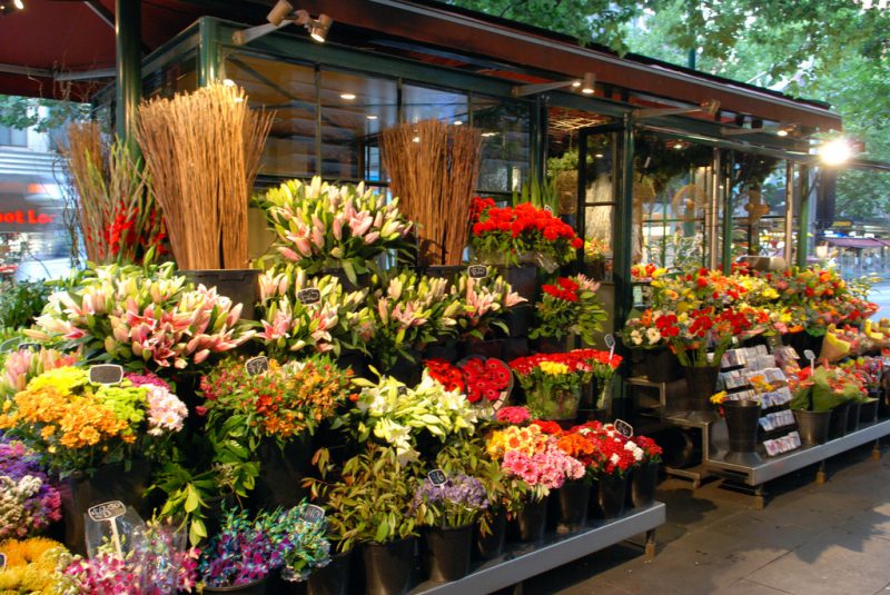 Translation service to believe in the beauty of flower shop