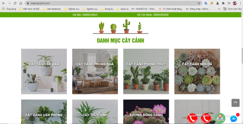 website cay canh