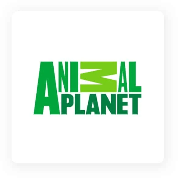 animalplanet logo tailorbrands g