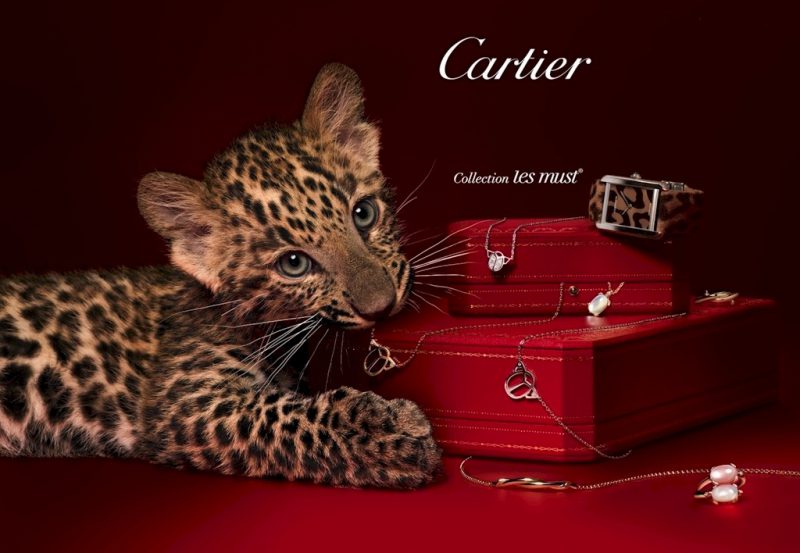 feature cartier