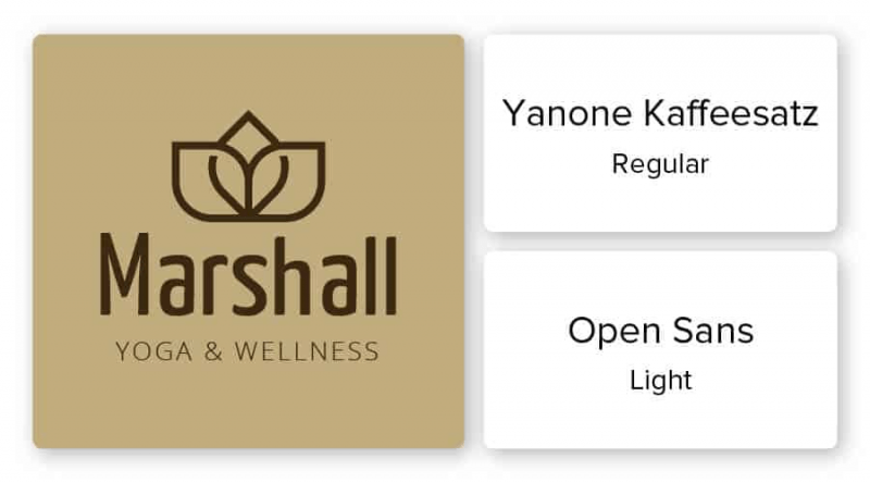 wellness logo font combination