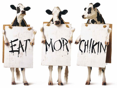 chien dich marketing chik fil a cows