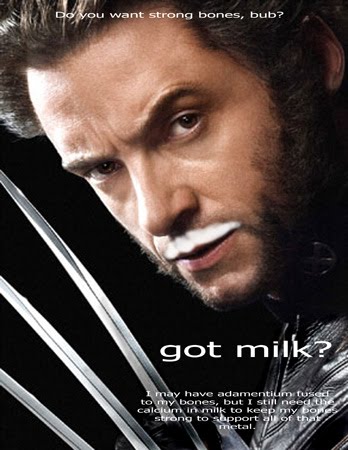 chien you marketing got milk wolverine