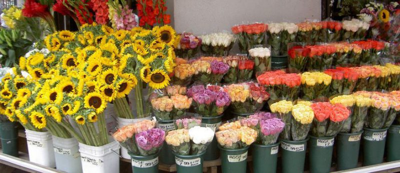 flower business