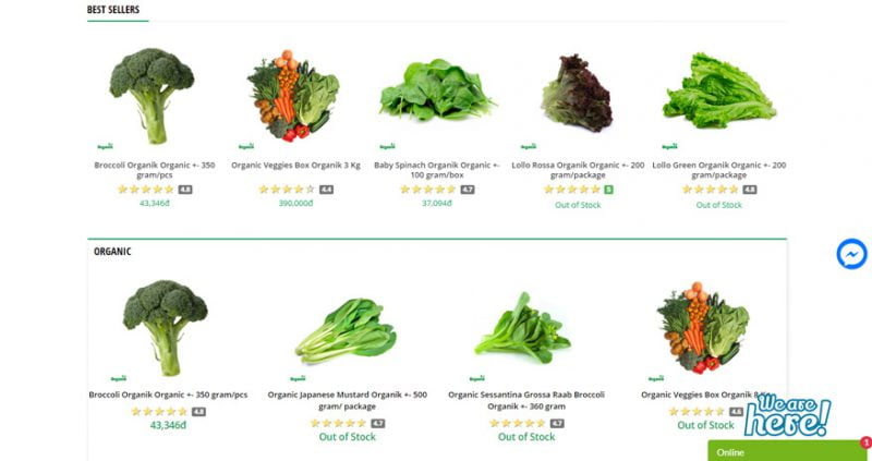 online vegetable business