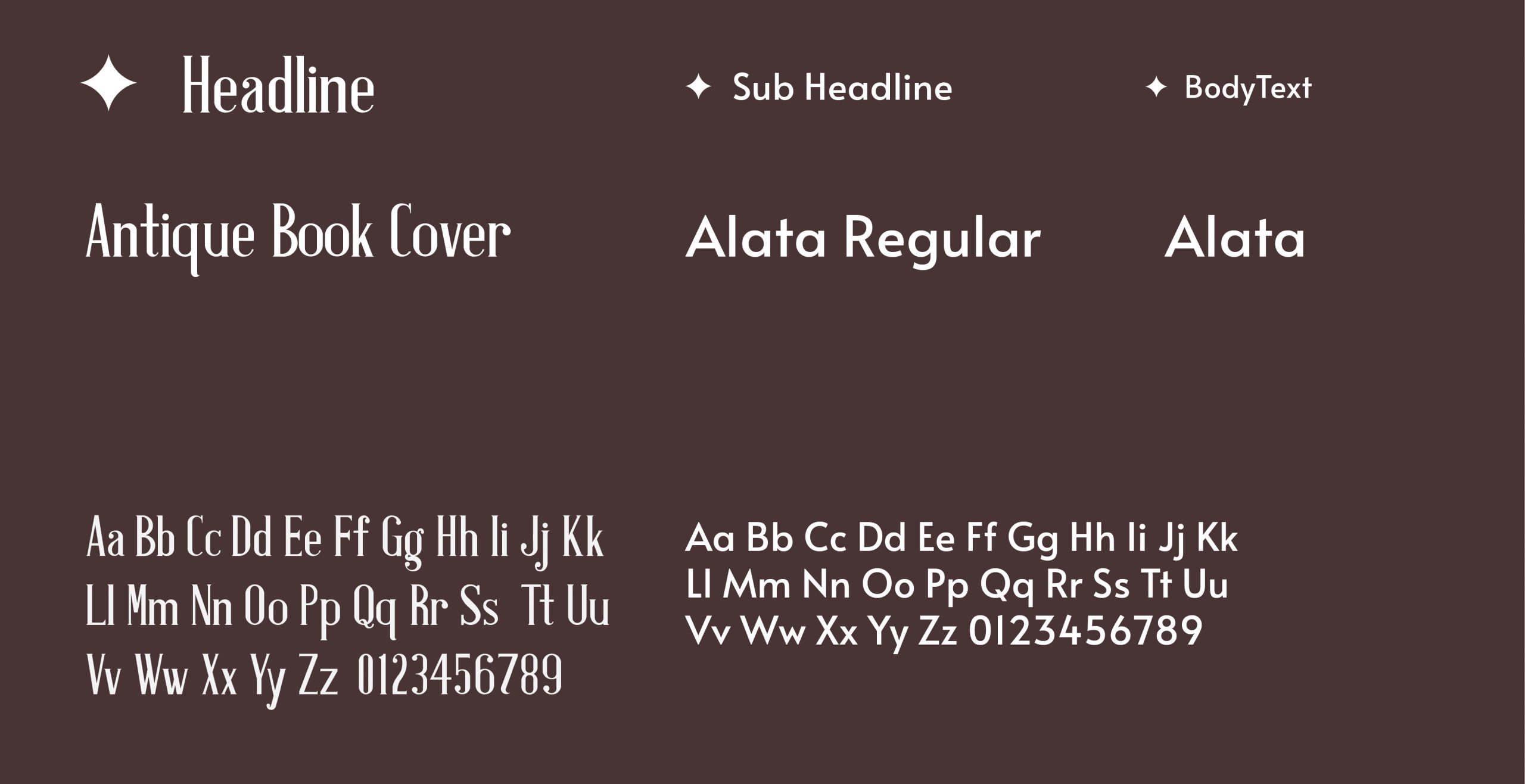 VanLang Brand Guidelines.jpga 20 scaled