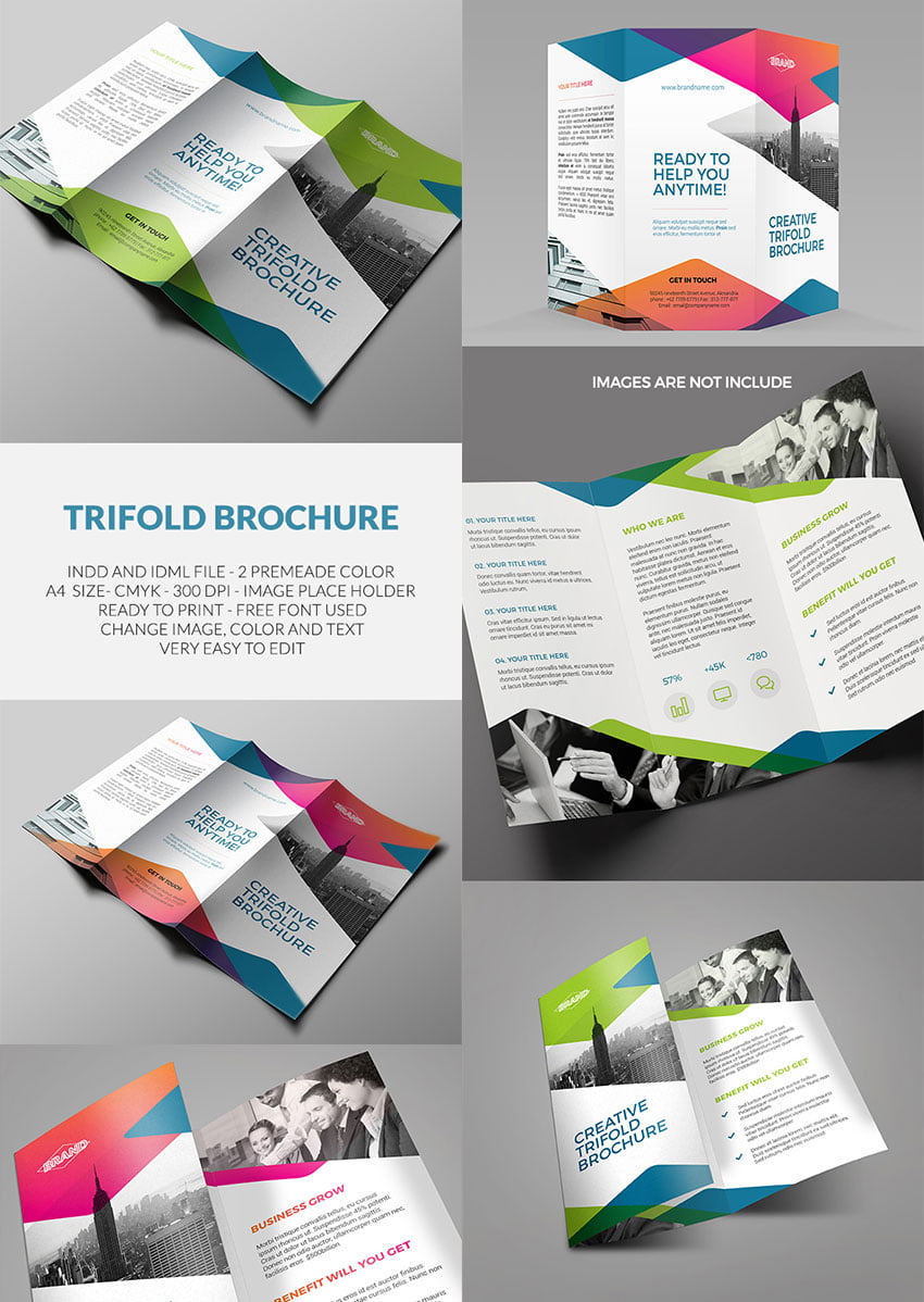 trifold brochure indesign template