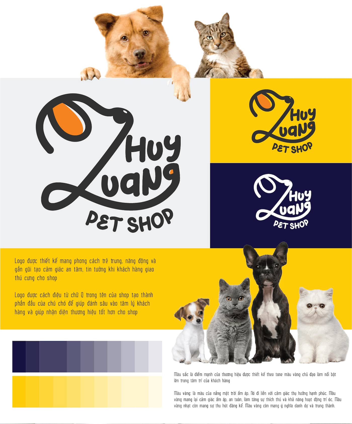 quang huy petshop 01