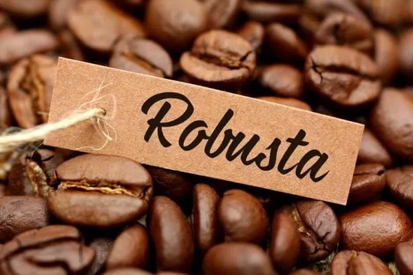 cafe Robusta