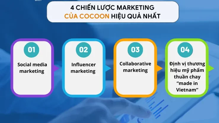 chien luoc marketing cua cocoon e1693466250891