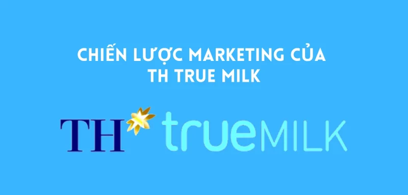 The marketing strategy of th true 3 e1693385798787