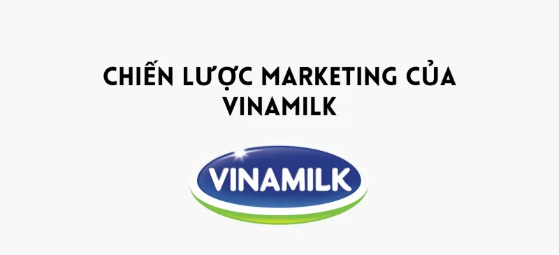 Vinamil's marketing strategy e1693384964288